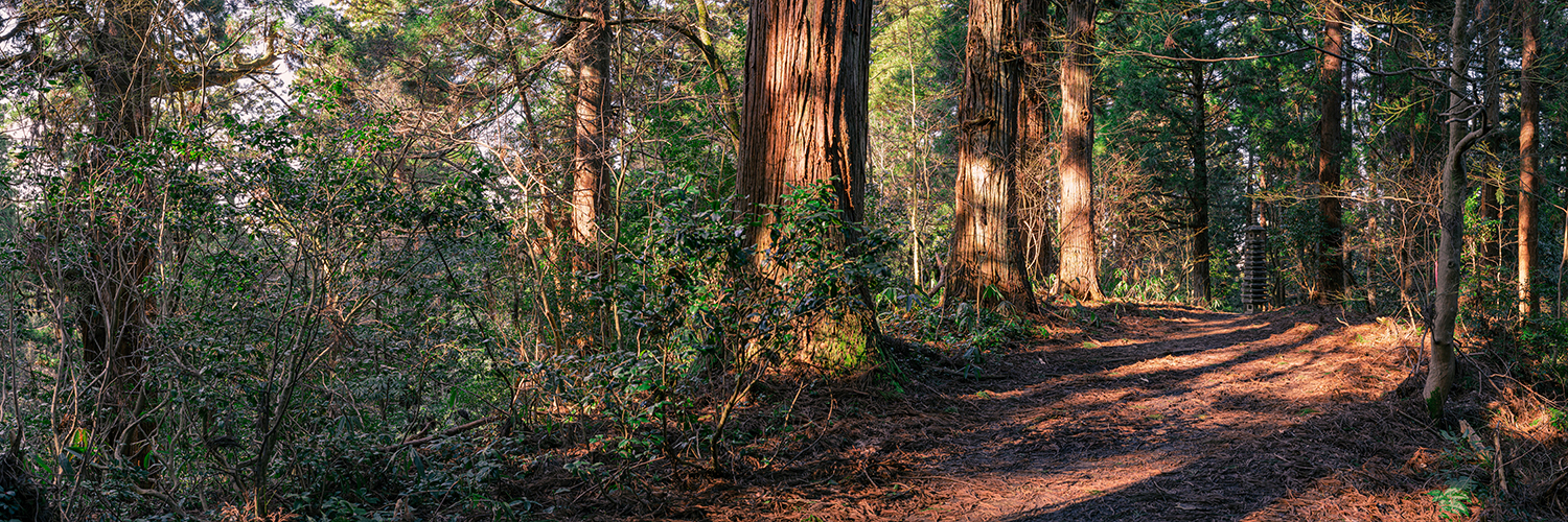 The Road 新潟県加茂市